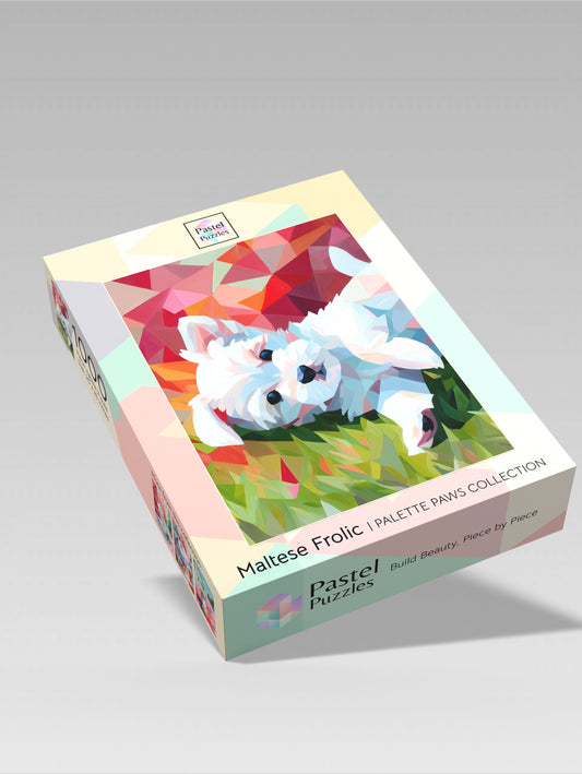 Maltese Frolic - Palette Paws Collection
