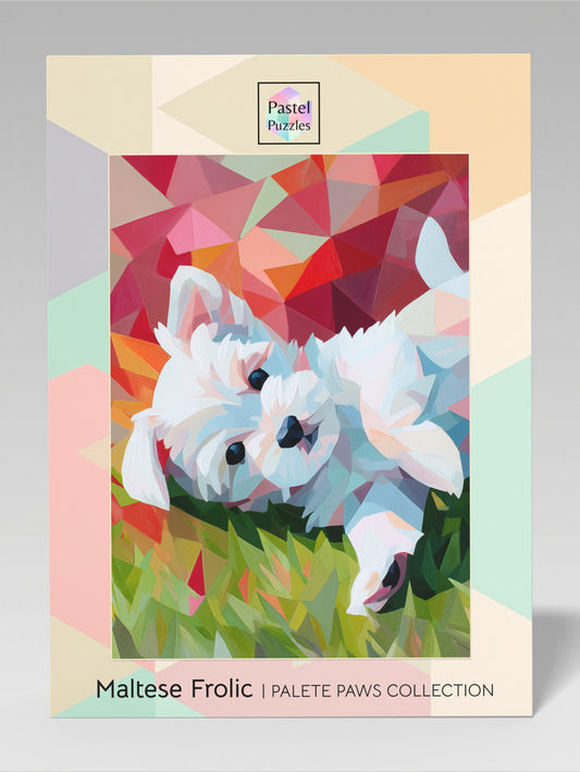 Maltese Frolic - Palette Paws Collection